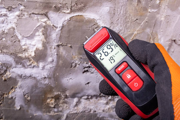 Best Office Mold Removal Services  in North Bethesda, MD