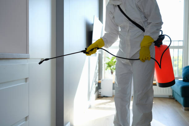 Best Emergency Mold Removal  in North Bethesda, MD