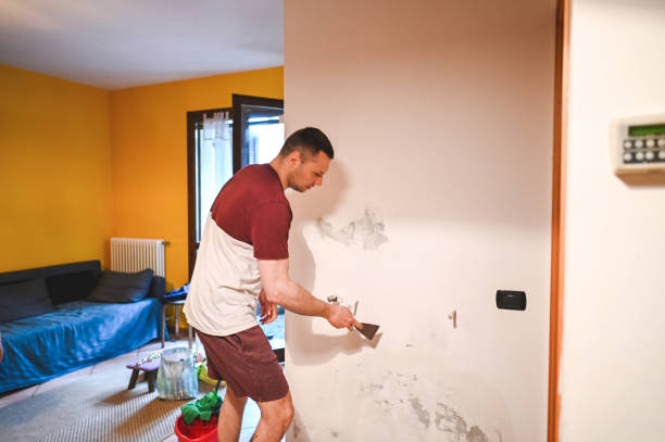 Best Office Mold Removal Services  in North Bethesda, MD